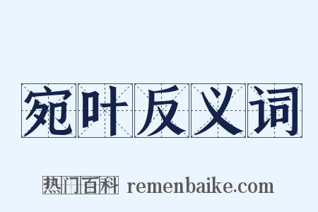 宛叶反义词是什么意思的图片